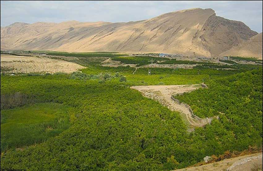 ظرفیت زمین در بیشتر مناطق استان مرکزی تمام شده/۱۴۰۰ هکتار اراضی جدید برای توسعه خورشیدی شناسایی شد